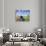 Cats and dogs-Bryan Allen-Photographic Print displayed on a wall