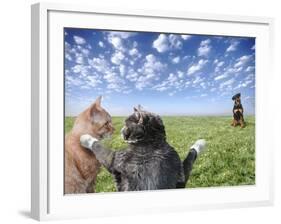 Cats and dogs-Bryan Allen-Framed Photographic Print