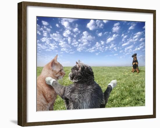 Cats and dogs-Bryan Allen-Framed Photographic Print