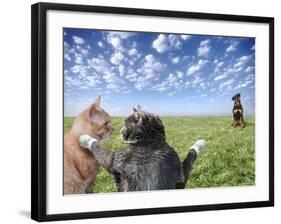 Cats and dogs-Bryan Allen-Framed Photographic Print