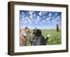 Cats and dogs-Bryan Allen-Framed Photographic Print