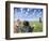 Cats and dogs-Bryan Allen-Framed Photographic Print