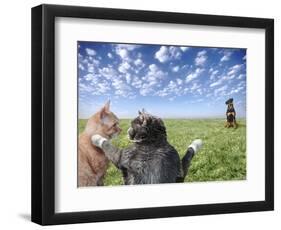 Cats and dogs-Bryan Allen-Framed Photographic Print