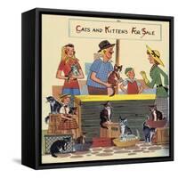 Cats And Kittens For Sale-Tom Sinnickson-Framed Stretched Canvas