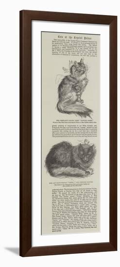 Cats at the Crystal Palace-null-Framed Giclee Print