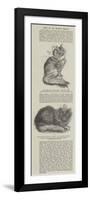 Cats at the Crystal Palace-null-Framed Giclee Print