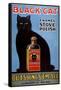 Cats Black Cat Enamel Stove Polish Products, USA, 1920-null-Framed Stretched Canvas