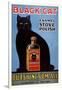 Cats Black Cat Enamel Stove Polish Products, USA, 1920-null-Framed Giclee Print