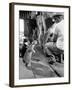 Cats Blackie and Brownie Catching Squirts of Milk During Milking at Arch Badertscher's Dairy Farm-Nat Farbman-Framed Photographic Print