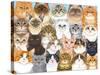 Cats Collage-Tomoyo Pitcher-Stretched Canvas