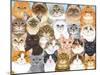 Cats Collage-Tomoyo Pitcher-Mounted Giclee Print