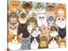 Cats Collage-Tomoyo Pitcher-Stretched Canvas