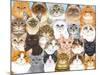 Cats Collage-Tomoyo Pitcher-Mounted Giclee Print