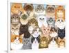 Cats Collage-Tomoyo Pitcher-Framed Giclee Print