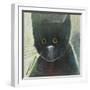 Cats Eyes-Tim Nyberg-Framed Giclee Print