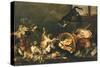 Cats Fighting in Pantry-Paul De Vos-Stretched Canvas