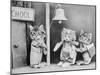 Cats Going to School-null-Mounted Photographic Print