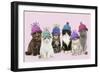 Cats, Group Wearing Woolly Hat-null-Framed Photographic Print