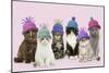 Cats, Group Wearing Woolly Hat-null-Mounted Photographic Print