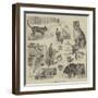 Cats' Home at Battersea-Louis Wain-Framed Giclee Print