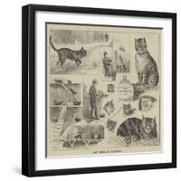 Cats' Home at Battersea-Louis Wain-Framed Giclee Print