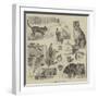 Cats' Home at Battersea-Louis Wain-Framed Giclee Print