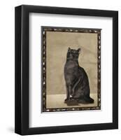 Cats I-null-Framed Art Print