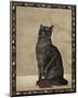 Cats I-null-Mounted Art Print