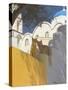 Cats in Akrotiri, Santorini, Cyclades, Greek Islands, Greece, Europe-Papadopoulos Sakis-Stretched Canvas