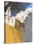 Cats in Akrotiri, Santorini, Cyclades, Greek Islands, Greece, Europe-Papadopoulos Sakis-Stretched Canvas