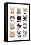 Cats in Bow Ties-Hanna Melin-Framed Stretched Canvas