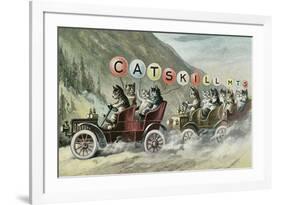 Cats in Cars, Catskill Mountains, New York-null-Framed Art Print