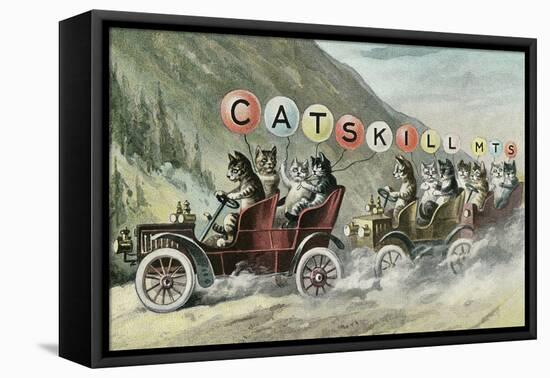 Cats in Cars, Catskill Mountains, New York-null-Framed Stretched Canvas