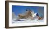 Cats In Heaven-Nancy Tillman-Framed Premium Giclee Print