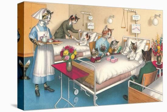 Cats in the Hospital-null-Stretched Canvas