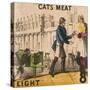Cats Meat, Cries of London, C1840-TH Jones-Stretched Canvas