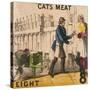 Cats Meat, Cries of London, C1840-TH Jones-Stretched Canvas