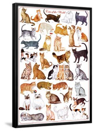 'Cats of the World Educational Science Chart Poster' Posters ...