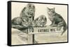 Cats on Catskill Mts. Sign-null-Framed Stretched Canvas