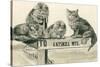 Cats on Catskill Mts. Sign-null-Stretched Canvas