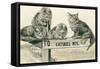 Cats on Catskill Mts. Sign-null-Framed Stretched Canvas