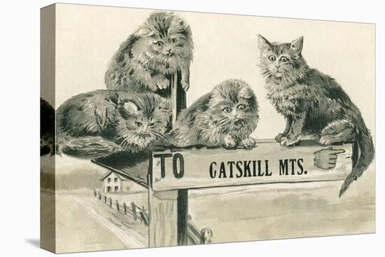 Cats on Catskill Mts. Sign-null-Stretched Canvas