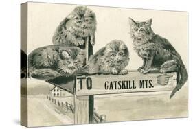 Cats on Catskill Mts. Sign-null-Stretched Canvas