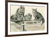 Cats on Catskill Mts. Sign-null-Framed Art Print