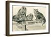 Cats on Catskill Mts. Sign-null-Framed Art Print