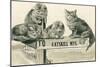 Cats on Catskill Mts. Sign-null-Mounted Art Print