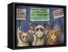 Cats on Strike-Leah Saulnier-Framed Stretched Canvas