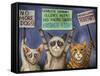 Cats on Strike-Leah Saulnier-Framed Stretched Canvas