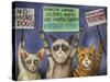 Cats on Strike-Leah Saulnier-Stretched Canvas