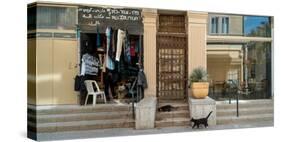 Cats on the steps of a clothing store, Downtown Haifa, Haifa, Israel-null-Stretched Canvas